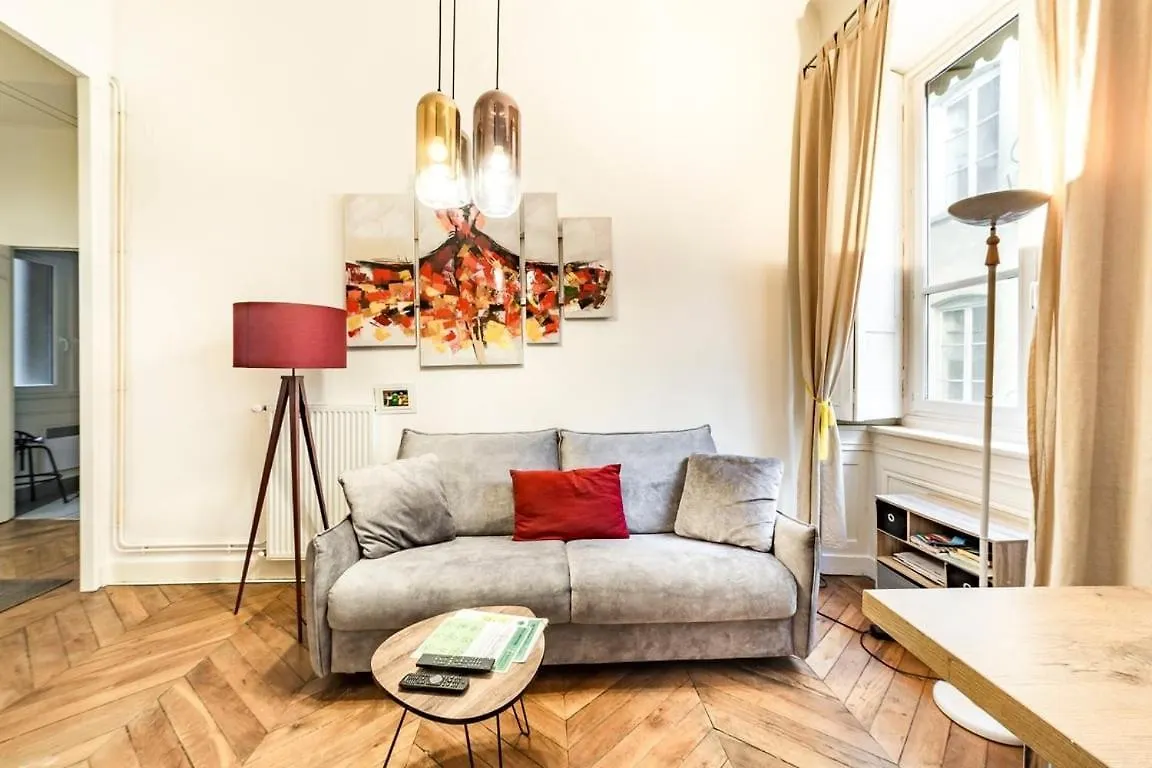 Perfect To Visit Lyon With Family Or Friends Ail Apartment